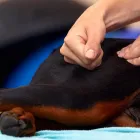 筋膜リリース