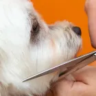 健康